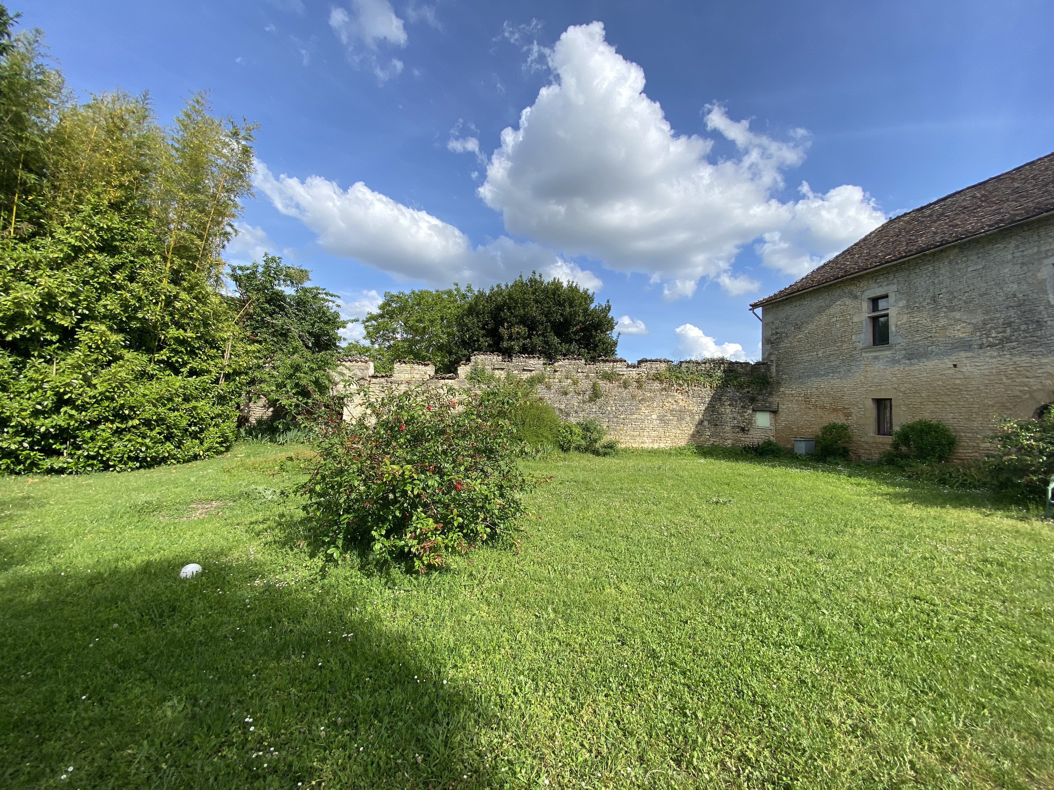 Vue sur le parc arboré du domaine