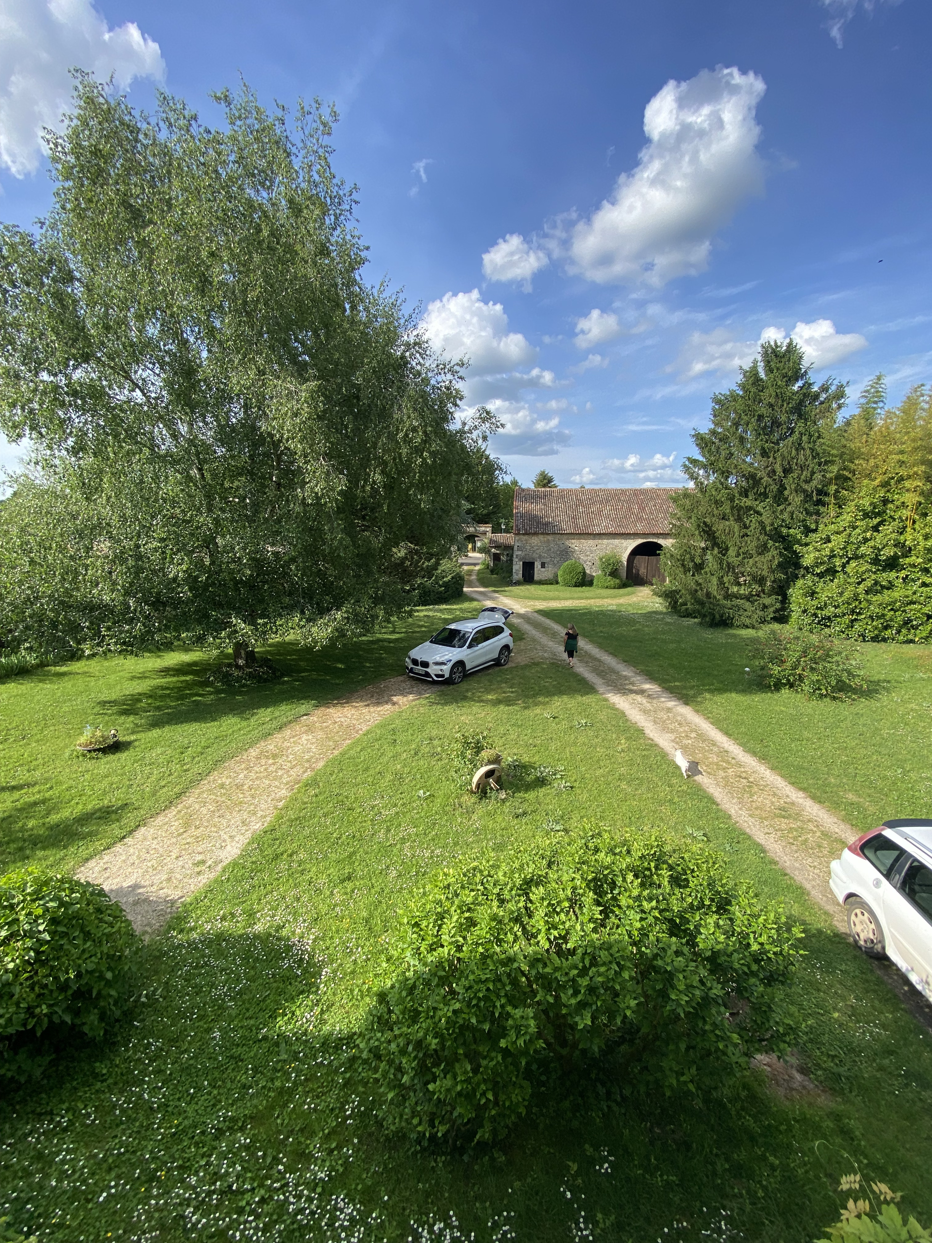 Perspective sur le parc arboré