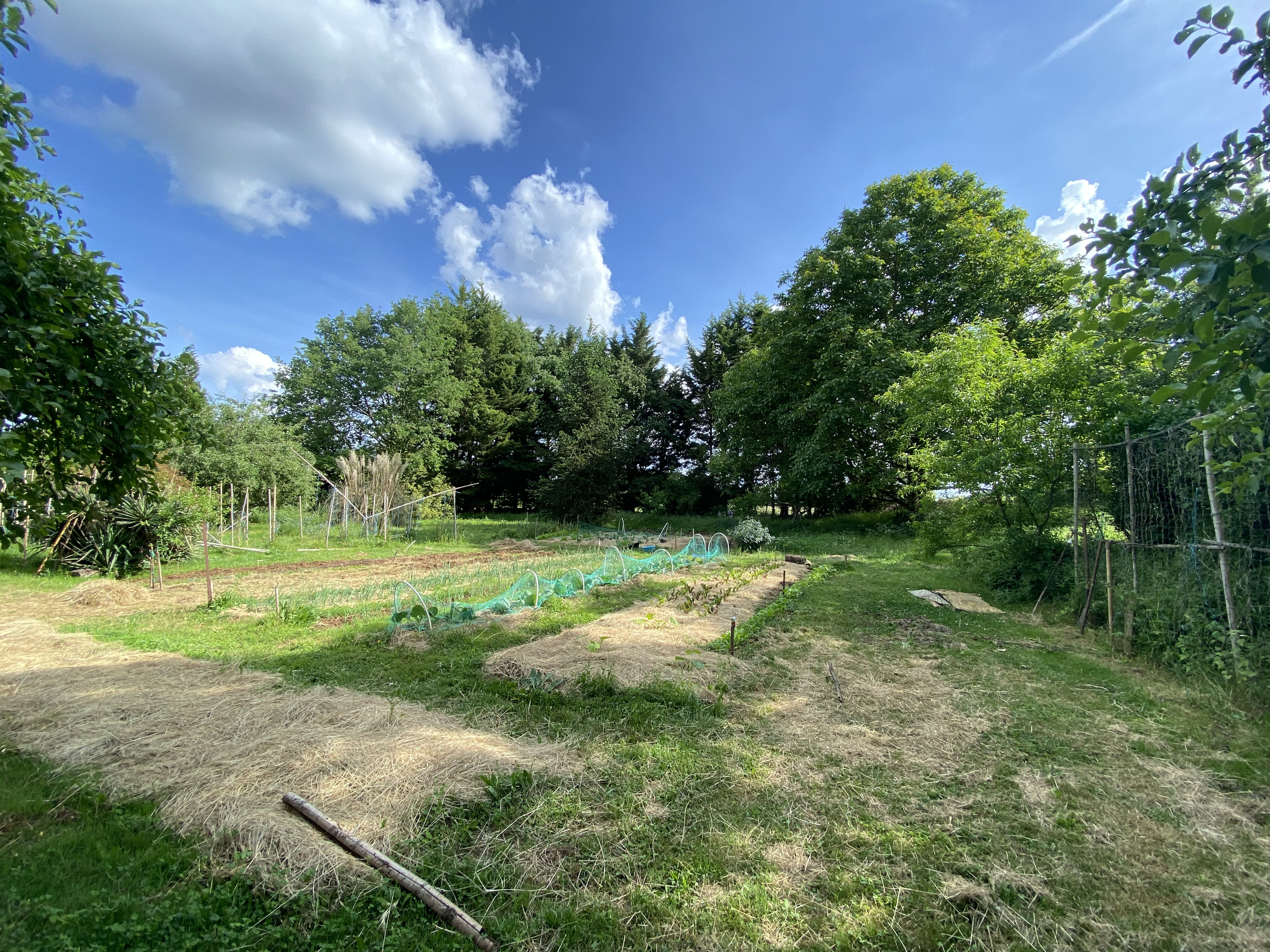 Ambiance du jardin de La Maison Noble