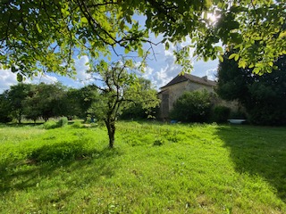 Verger avec vue sur la façade du manoir