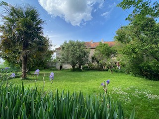 Jardin fleuri d'iris avec palmier et façade du manoir