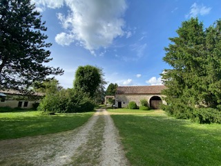 Allée du domaine avec grange ancienne et grand tilleul